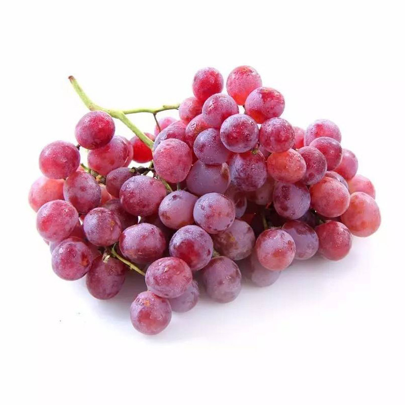云南宾川红提500gcczc葡萄
