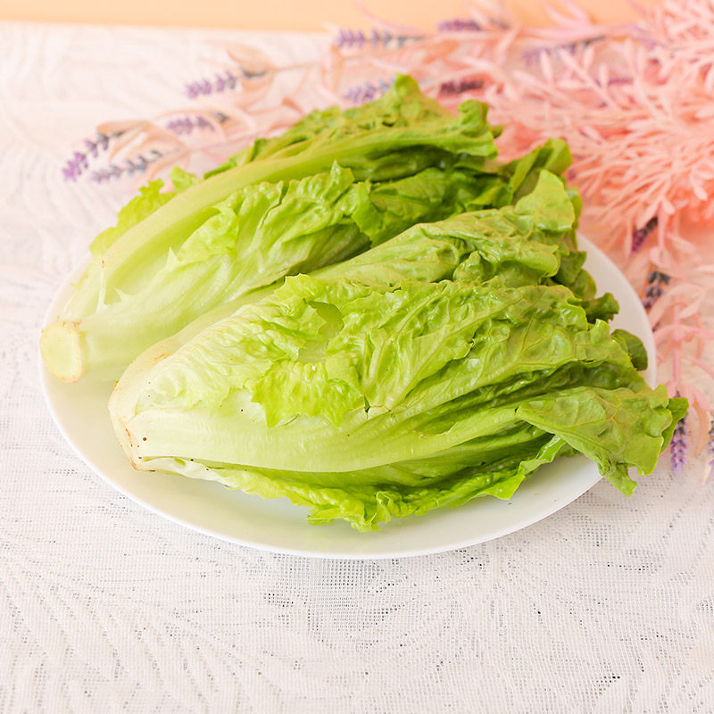 每日云南生菜300g叶菜类