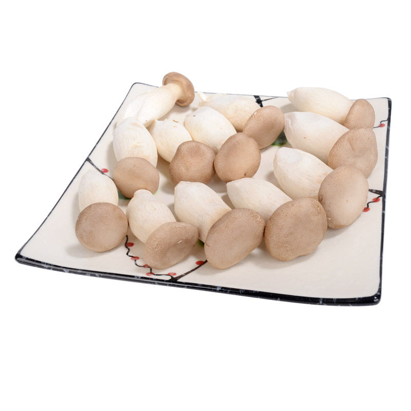 日日迷你杏鲍200g新鲜菌菇质地脆嫩新鲜松茸