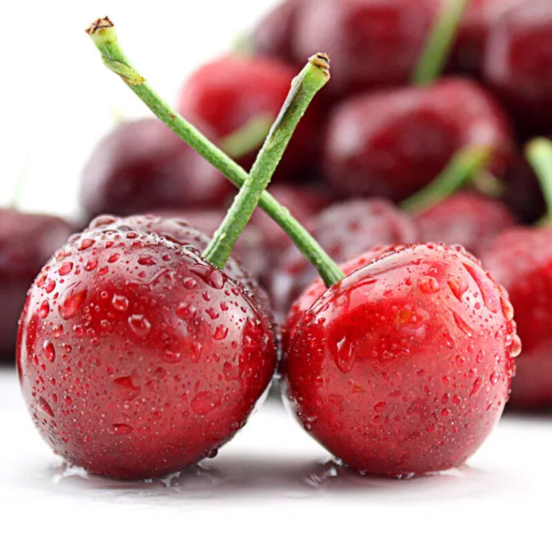 山东东美樱桃250g单果12g车厘子