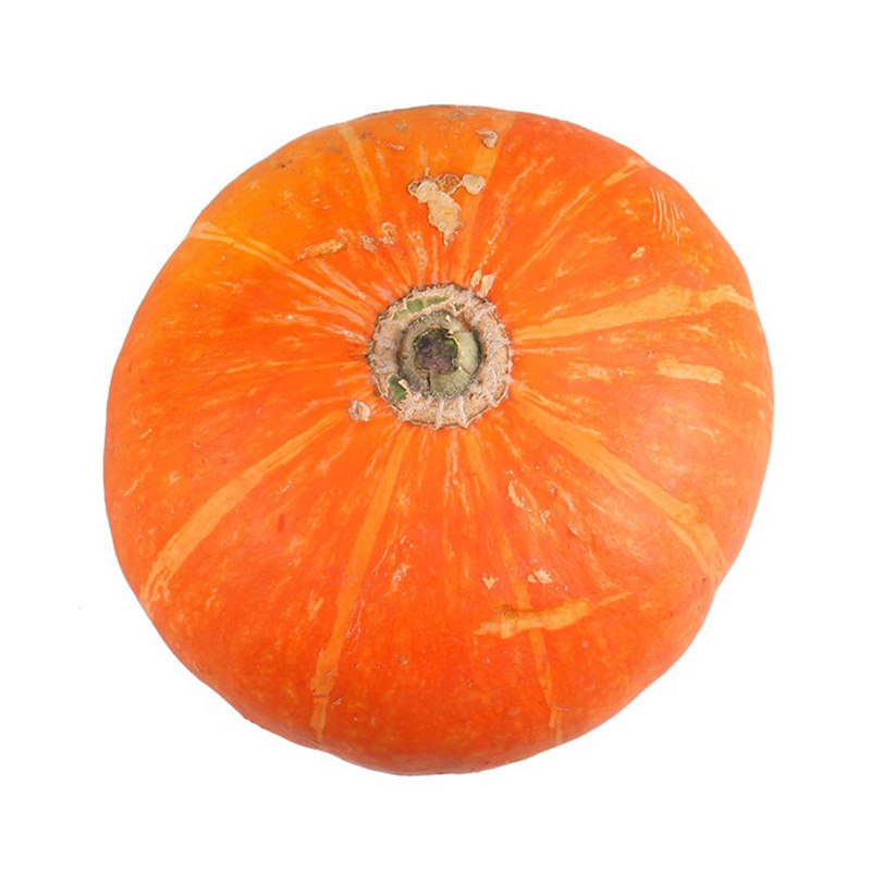 西洋南瓜1000g南瓜