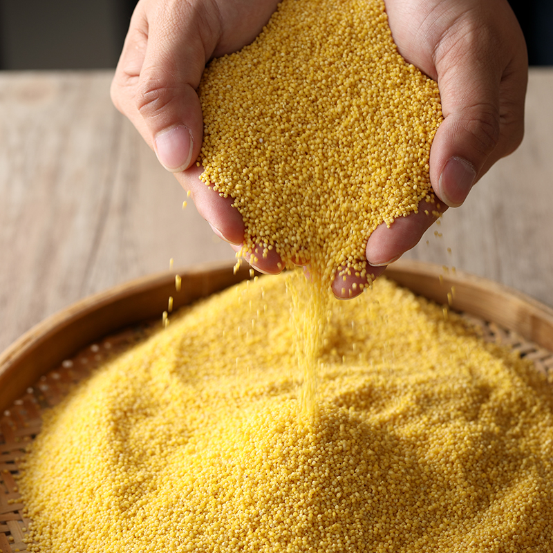 黄金苗金苗黄小米小米450g小米