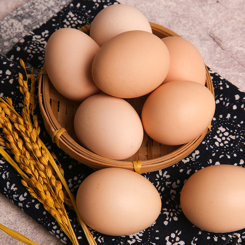 仁达鸡蛋15枚鸡蛋