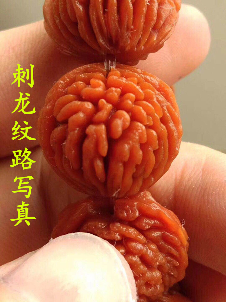 刺龙盘玩后图片图片