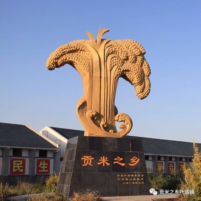 宁夏大米银川富硒地黄河米19年新米珍珠贡米20斤10kg大米