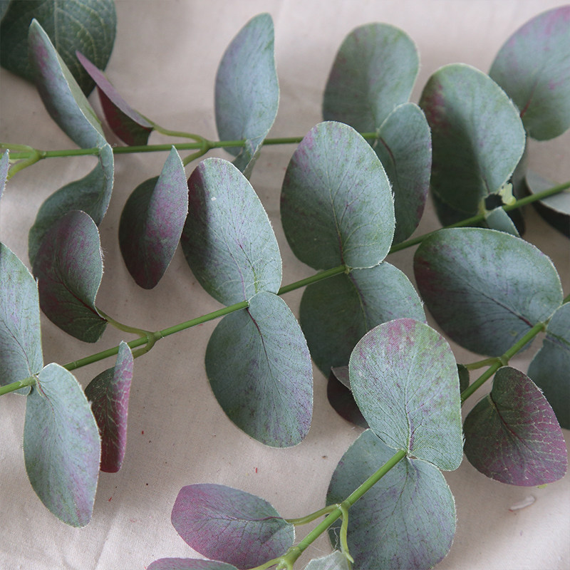 仿真北欧ins尤加利植物单支加利金钱叶网红网红仿真花