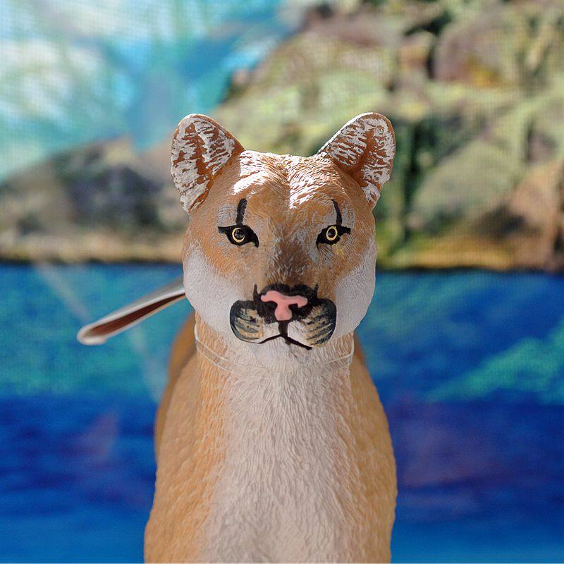 美国safari正品动物模型佛罗里达美洲狮玩具摆件欧美仿真