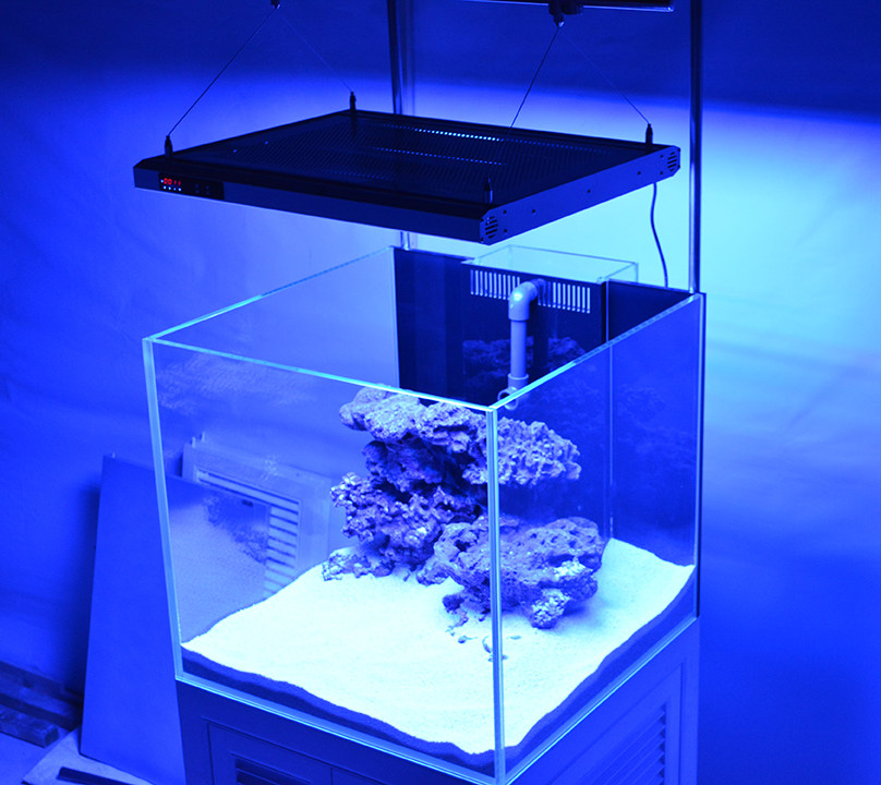 米熊海水缸金晶超白鱼缸海缸珊瑚缸中型超白缸60方底滤缸5线超白