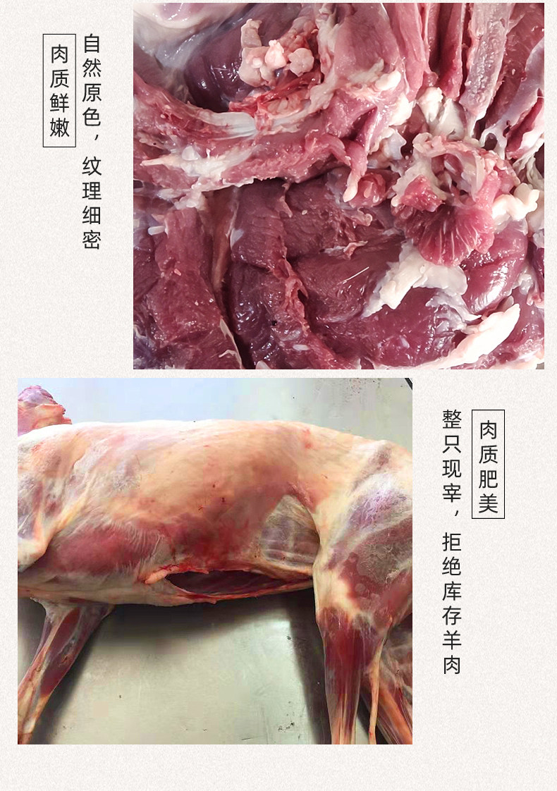 羊肉新鲜25斤全羊羊腿肉羊内蒙古呼伦贝尔海拉尔白条生羊肉
