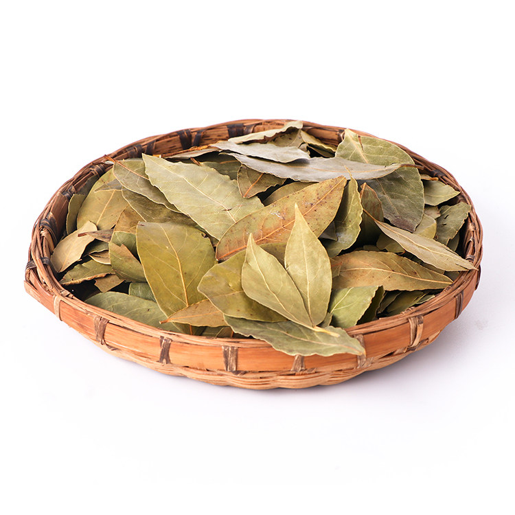 四季常青香叶月桂叶50g烧菜卤肉料包香料调料