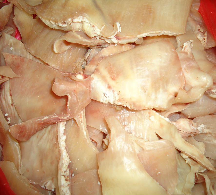 熟牛腩筋500克一斤水煮牛筋皮子肚皮皮筋隔膜牛肉类