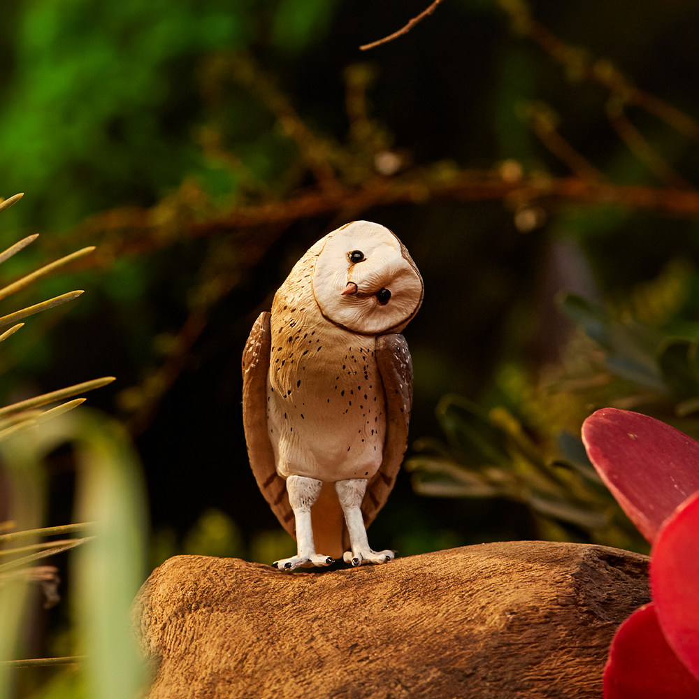 博物文创天然猫头鹰仓鸮模型手办摆件动物逼真手办