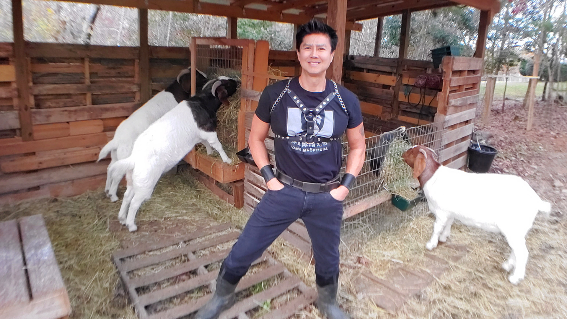 深邃黑暗幻想vandarkholme纪念ddfvansamaofficial出品t恤