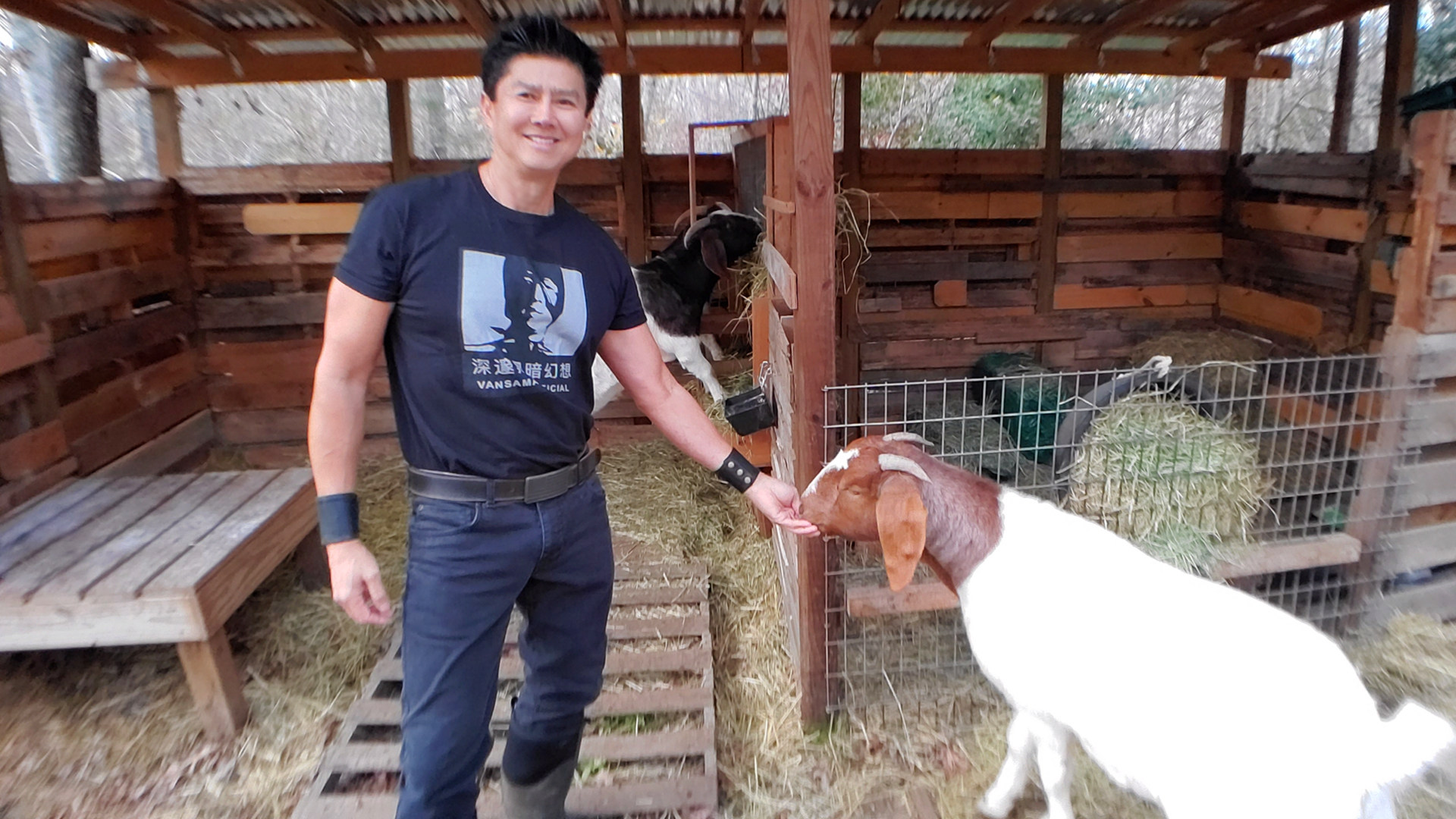 深邃黑暗幻想vandarkholme纪念ddfvansamaofficial出品t恤