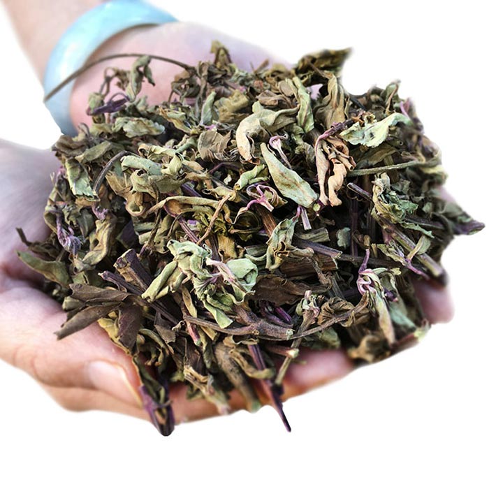 野生猫须草茶 云南西双版纳化石草排酸茶猫须公草茶500克特级新茶