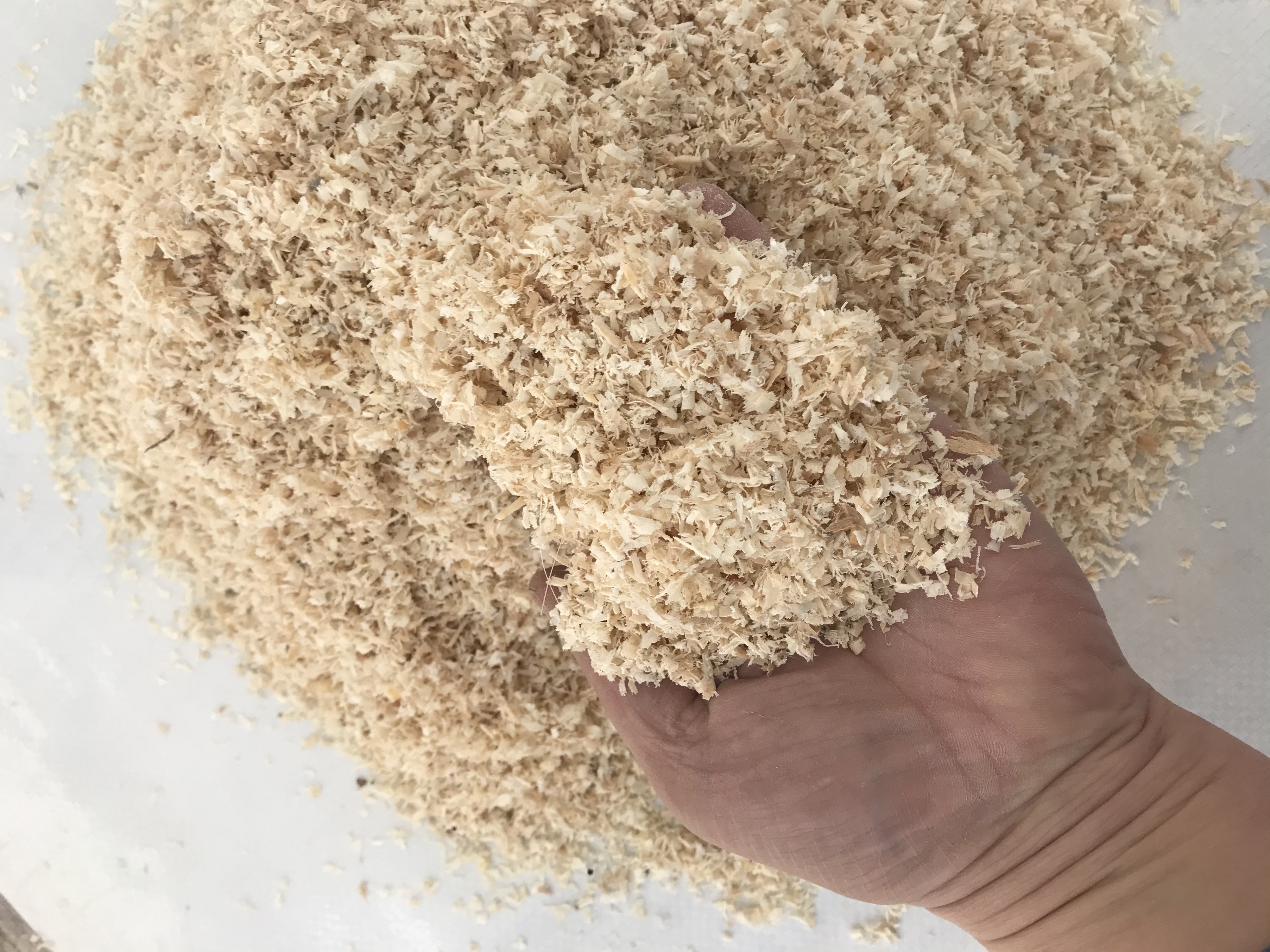 天然木粉填充打扫卫生去油工厂洗手栽培刨花白杨木木屑