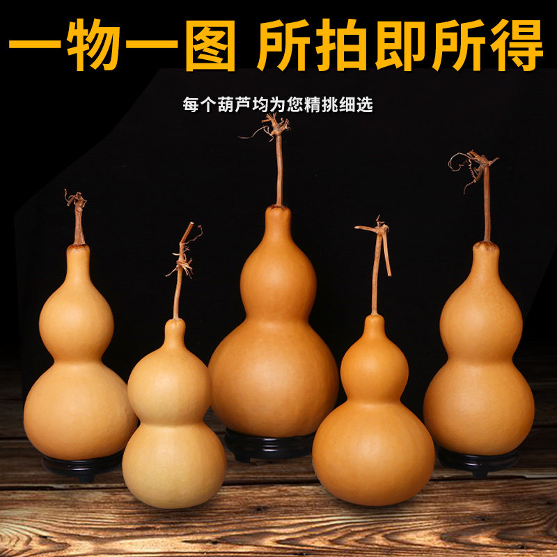 特大葫芦大号天然巨型亚腰莲花花头摆件文玩葫芦