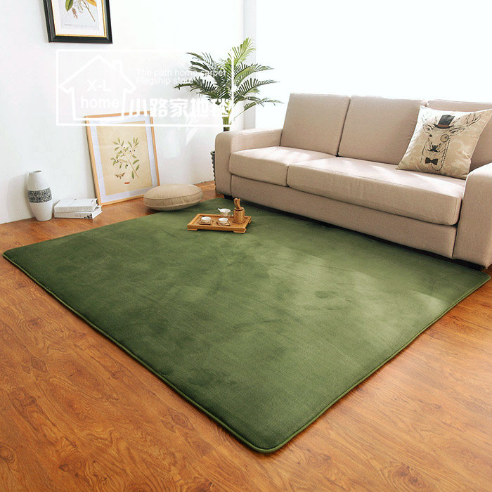 现代房间卧室满铺家用法兰绒加厚地毯客厅茶几地毯