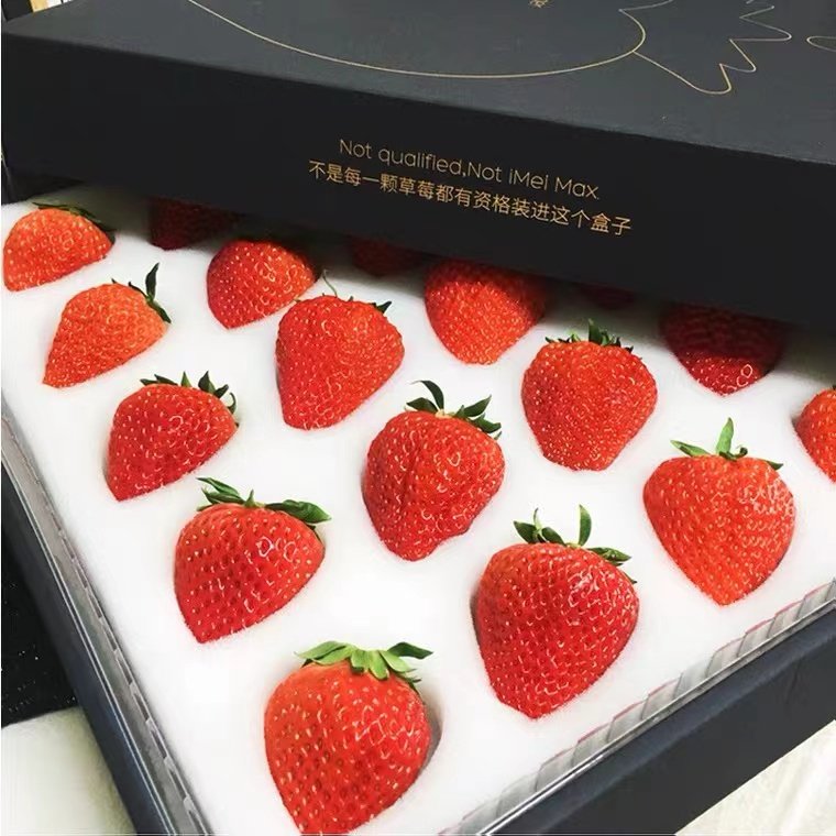 正宗丹东草莓九九新鲜整箱黑金金礼盒装甜大草莓