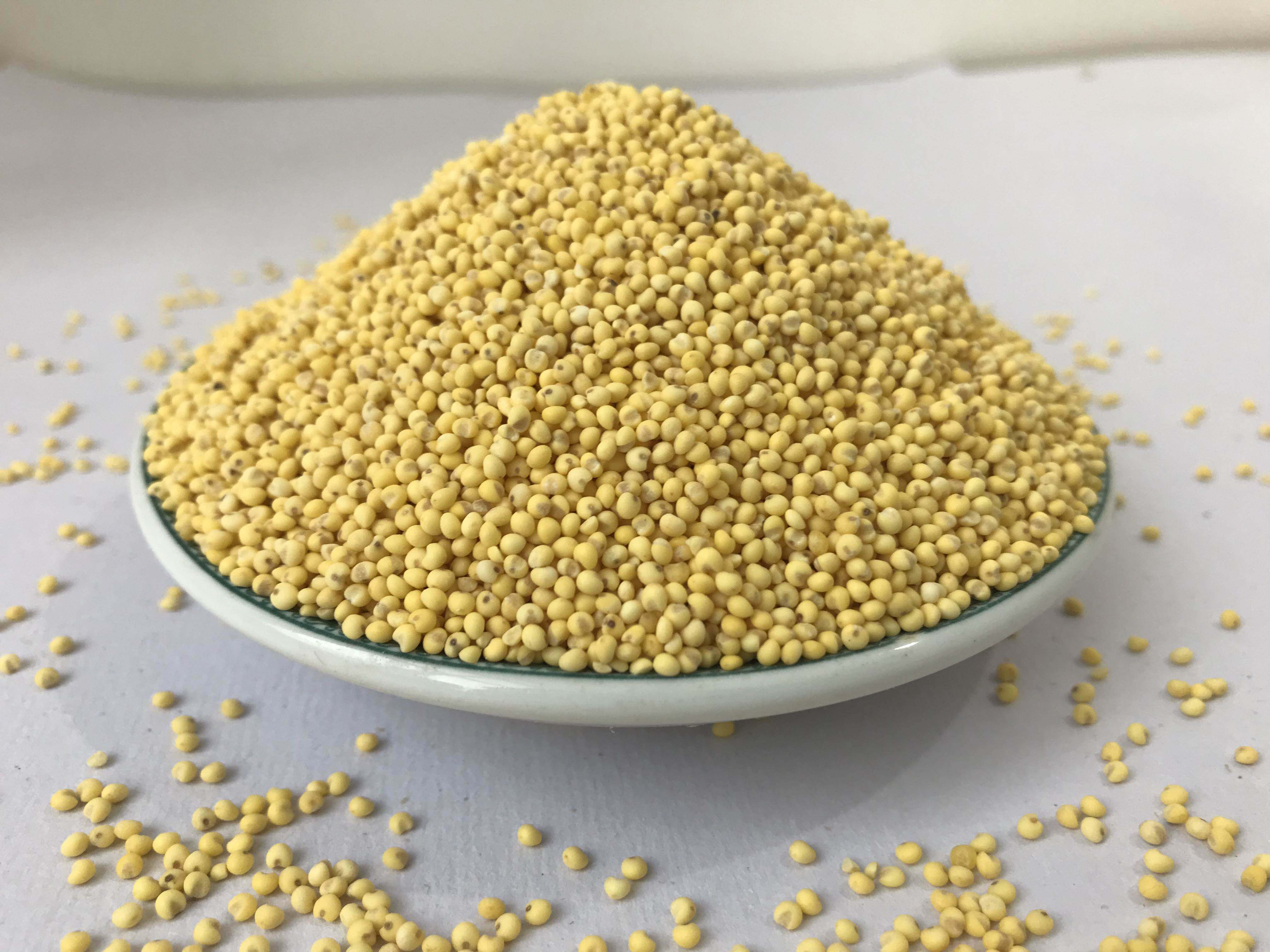 小米大黄农家粮食豆包年糕粽子米粥糯黏粘黄米其它粮食