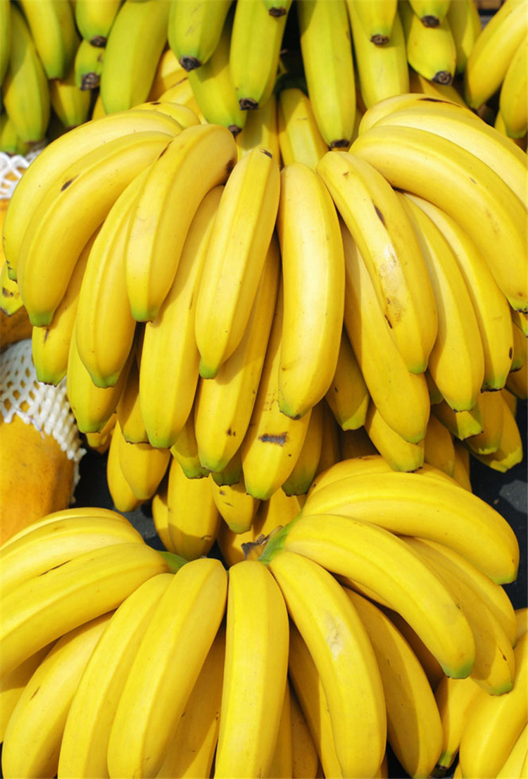 香蕉新鲜广西无公害催熟健康孕妇水果海南9斤香蕉