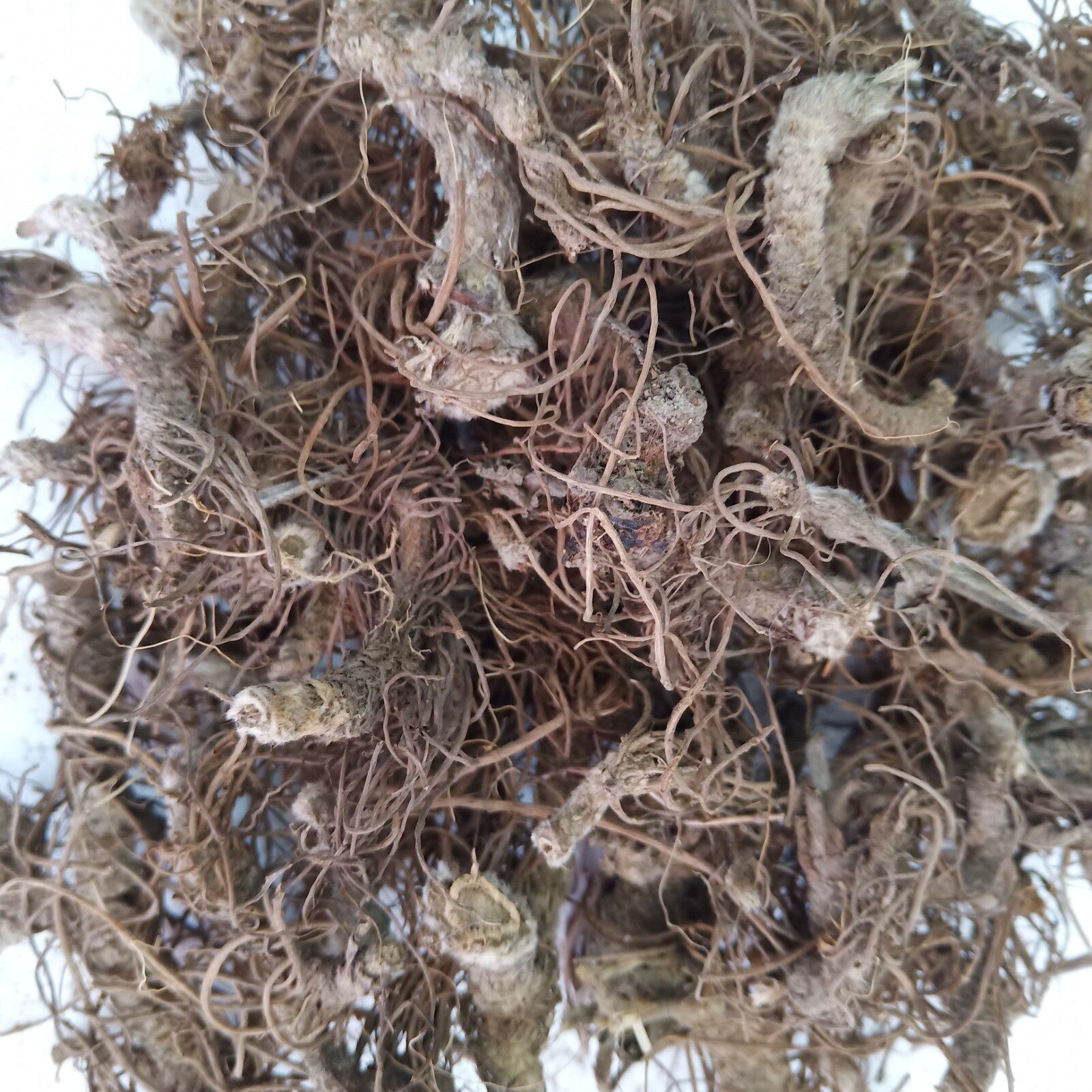 野生中药材苦地胆头根草药地斩头红花地胆头纯根500克其他药食同源