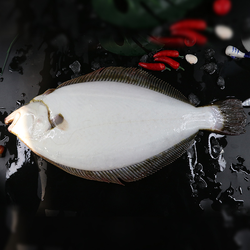 比目鱼冷冻水产海鲜鲆鱼鲽鱼海鱼鲜鱼碟鱼新鲜鱼比目鱼