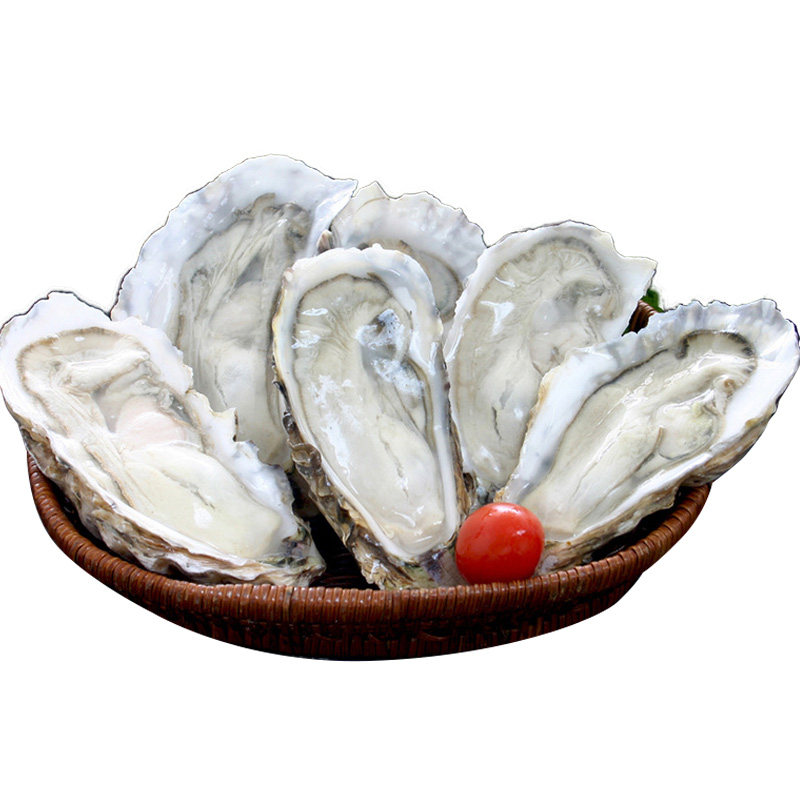 生蚝肉鲜活现剥新鲜即食冰鲜生蚝肉牡蛎肉冷冻青岛红岛海蛎子包邮