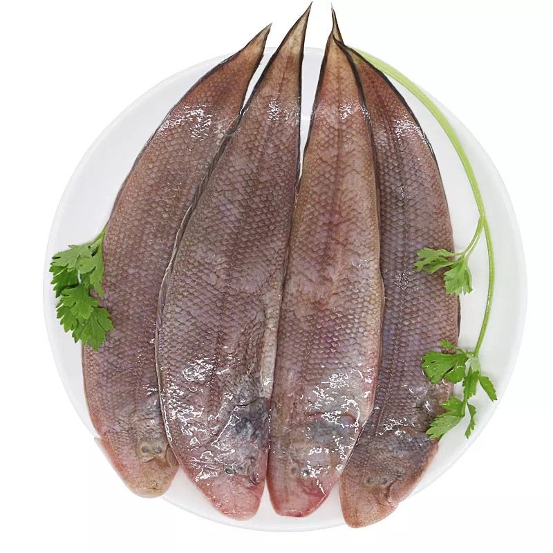 北海野生龙利鱼免新鲜冷冻海鲜水产非巴沙鱼巴沙鱼