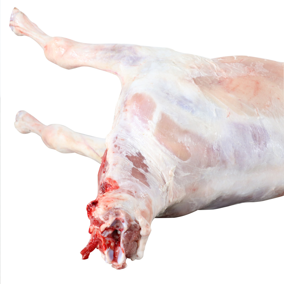 宁夏清真盐池滩羊农家烤全羊肉整只羊羔肉新鲜18斤带肝肺顺丰包邮