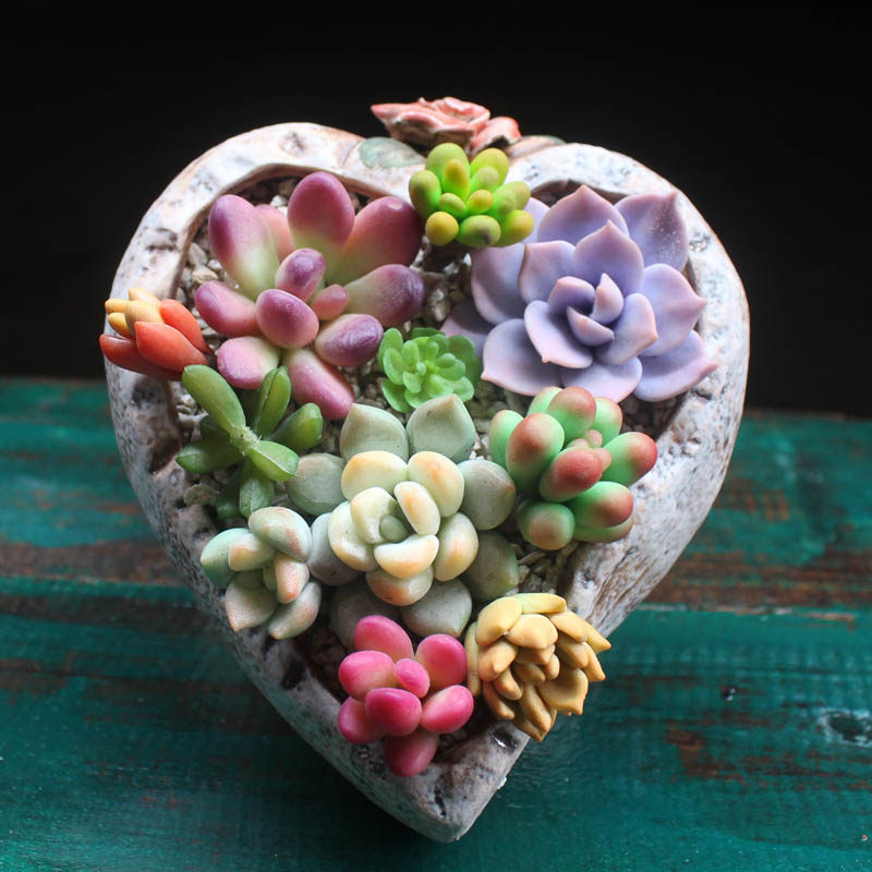 多肉花盆陶瓷透气创意粗陶中国风手工捏花办公室绿植心形拼盘有孔