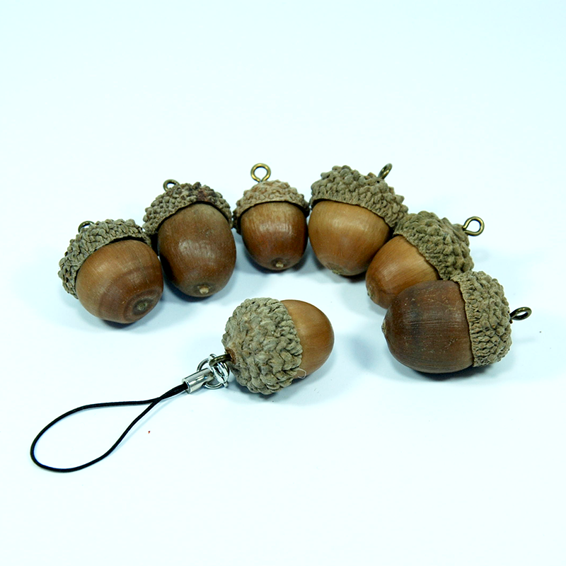 橡子橡树大橡木果橡实果饰饰品果帽挂饰道具干花