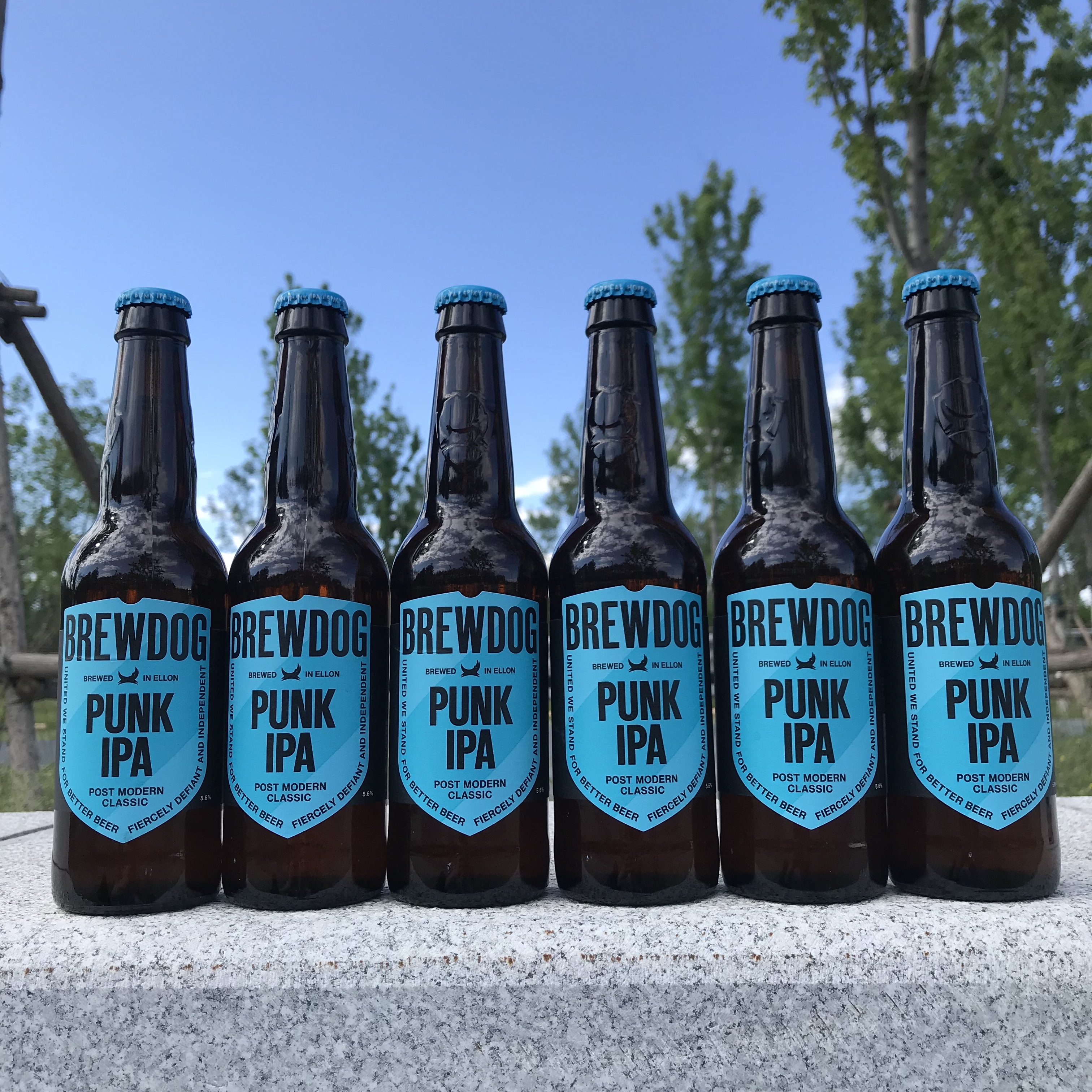 同学英国酿酒朋克啤酒brewdogpunkipa330ml24瓶啤酒