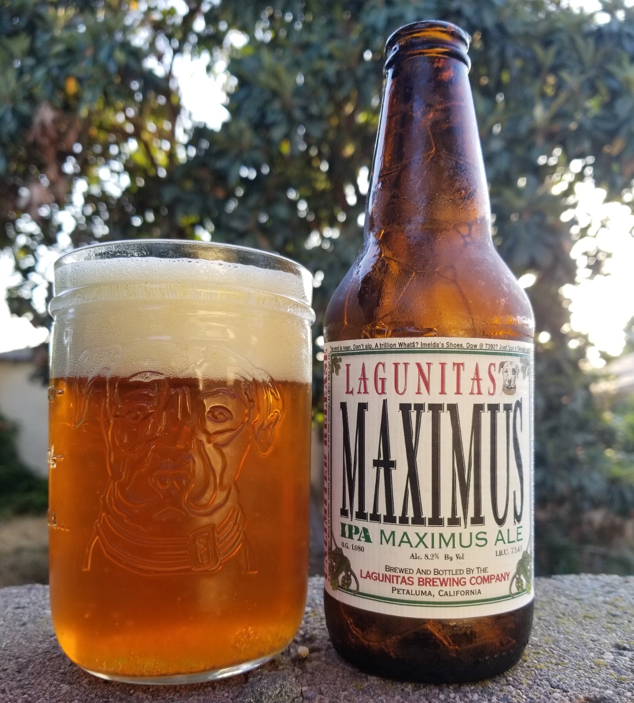 同学美国精酿拉古尼塔塔斯啤酒ipa马克西姆小小啤酒