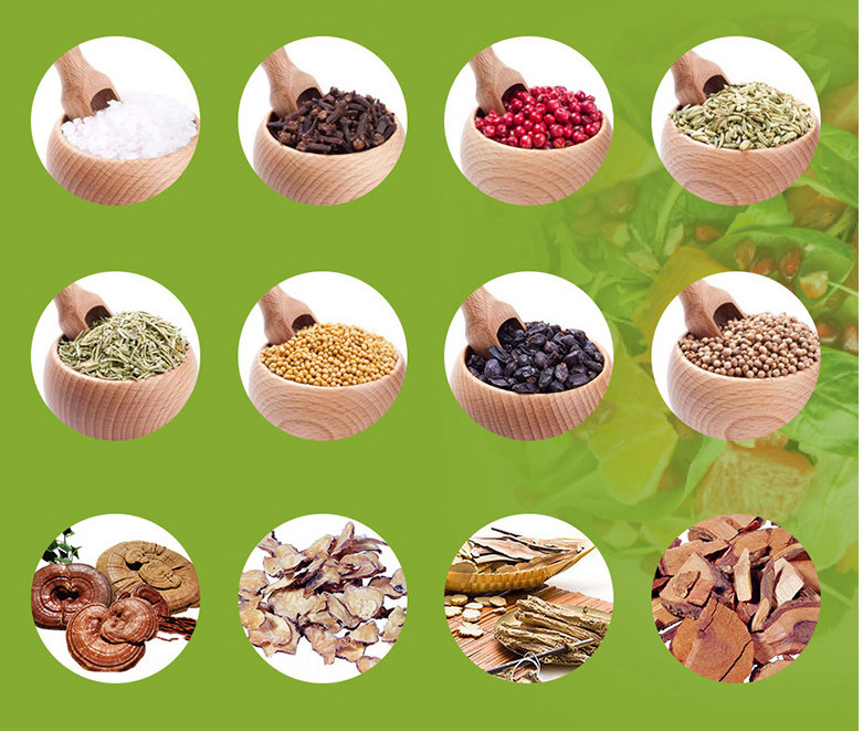 中药材百科全书 汉方中草药对症图典 图解中草药材大全实用手册中草药