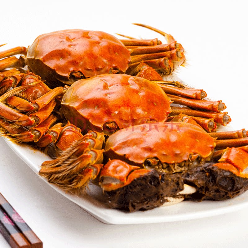 洪泽湖大闸蟹残蟹斤全公蟹多鲜活现货螃蟹新鲜水产大闸蟹