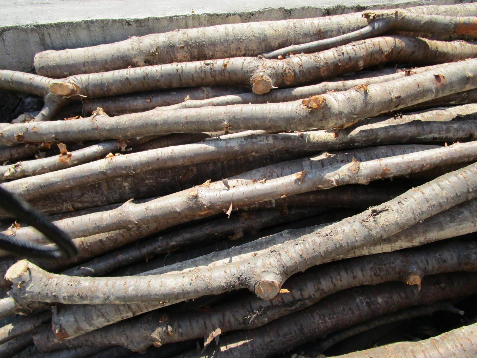 桃枝桃木原木料桃木段实桃木段雕刻料佛珠料 镇宅辟邪包邮