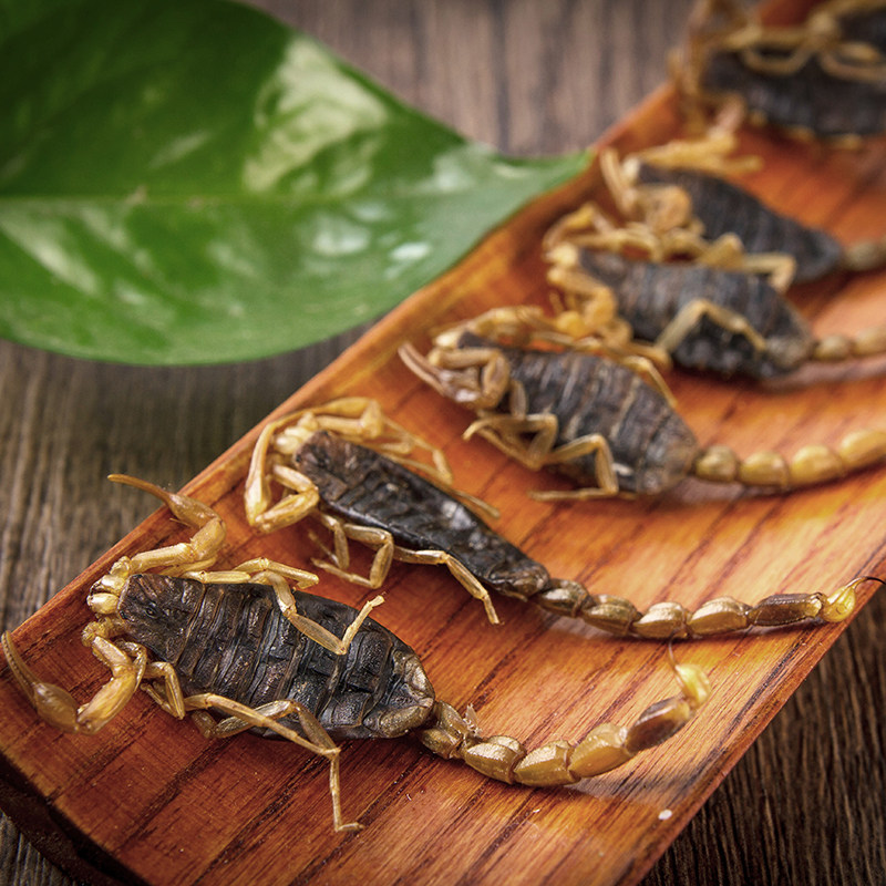 松山堂 沂蒙十足全蝎100克/盒清水全虫九成半干干钳蝎蝎子中药材