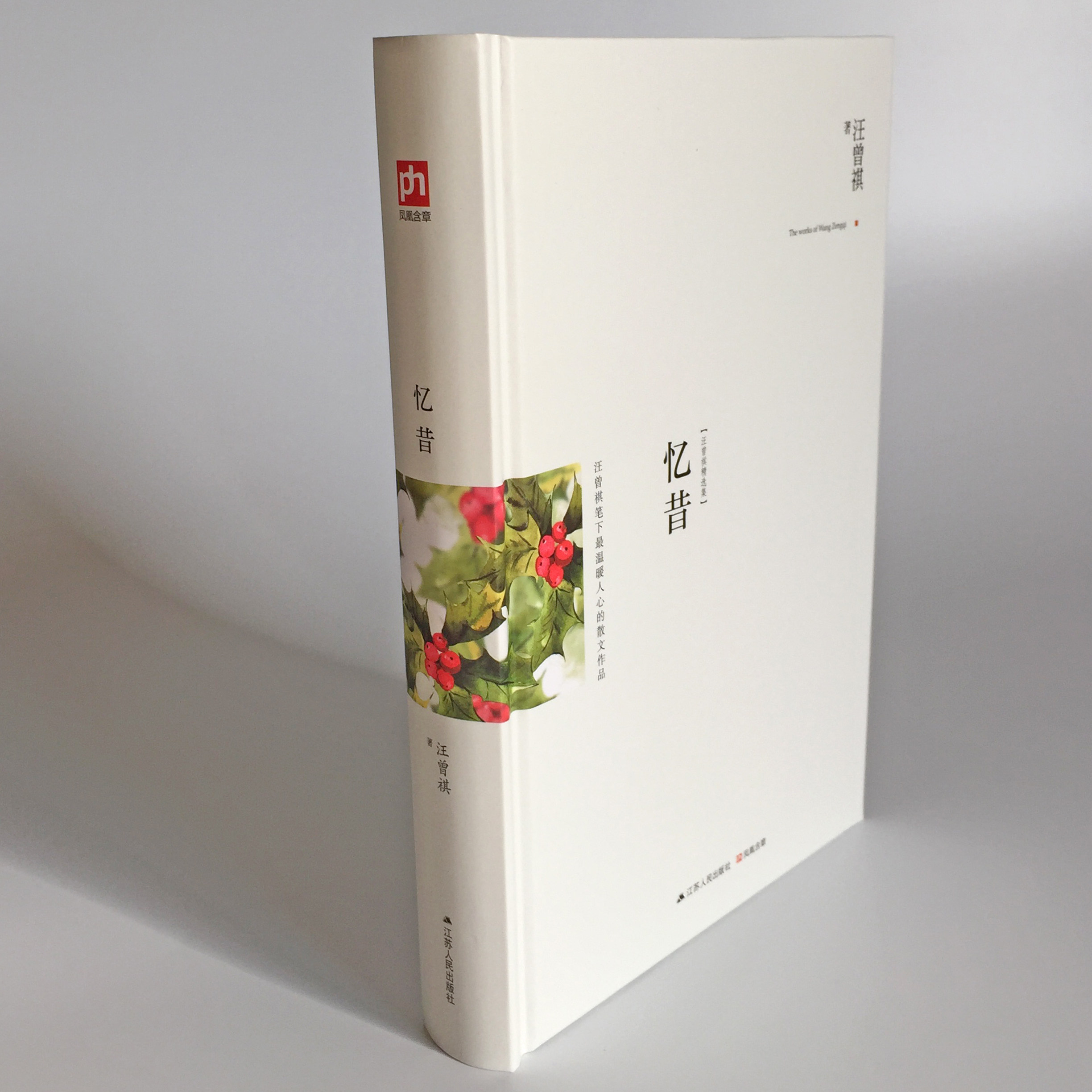 小学生 散文集 温暖人心的散文作品 当代 现代散文集 课外读物书籍