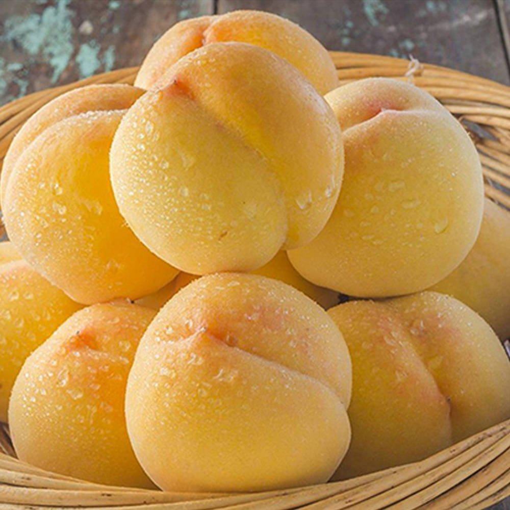 湖南怀化高山麻阳黄桃新鲜水果现摘现发孕妇桃