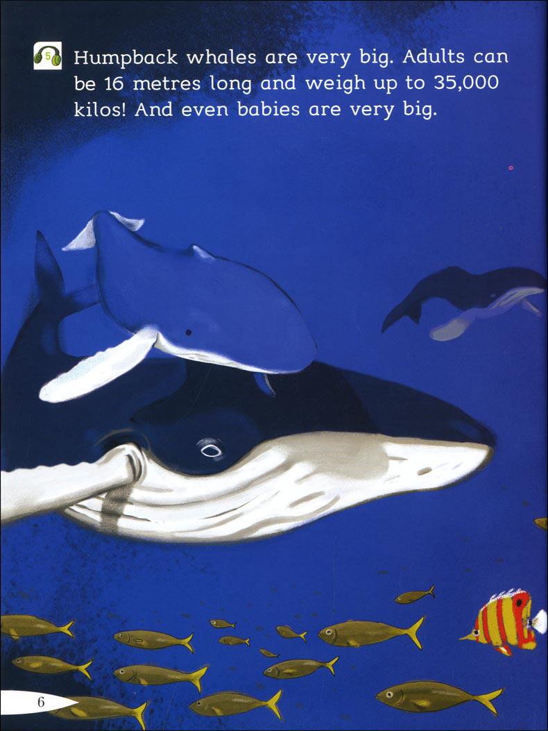 阅读小学英语黑布林故事小学生教材读物分级低年级小学教辅