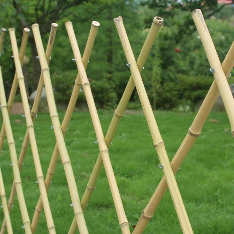 竹拉网花园装饰网格围栏菜园栏杆竹支架竹制栅栏竹子伸缩篱笆围栏