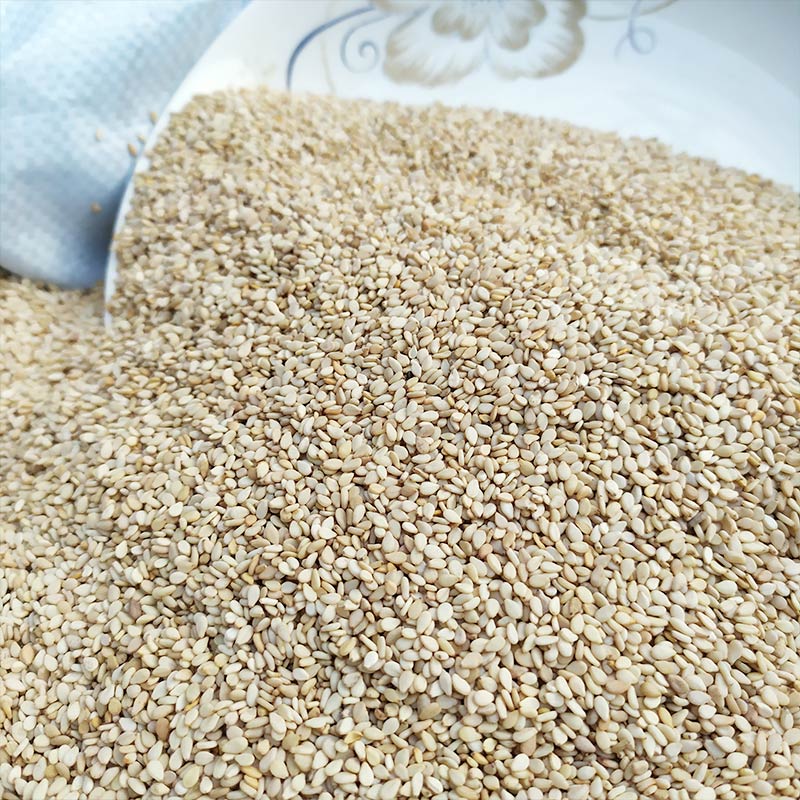 生白芝麻2022年新货1斤包邮河南驻马店农家自产其它粮食