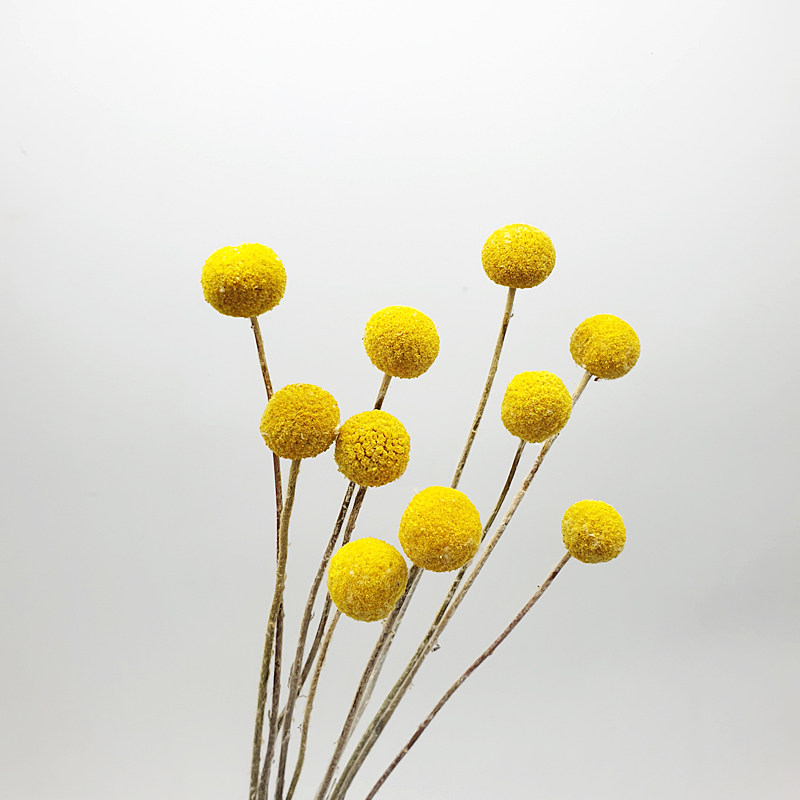 黄金球摆件清晰文艺配花插花diy家居装饰花束干花干花