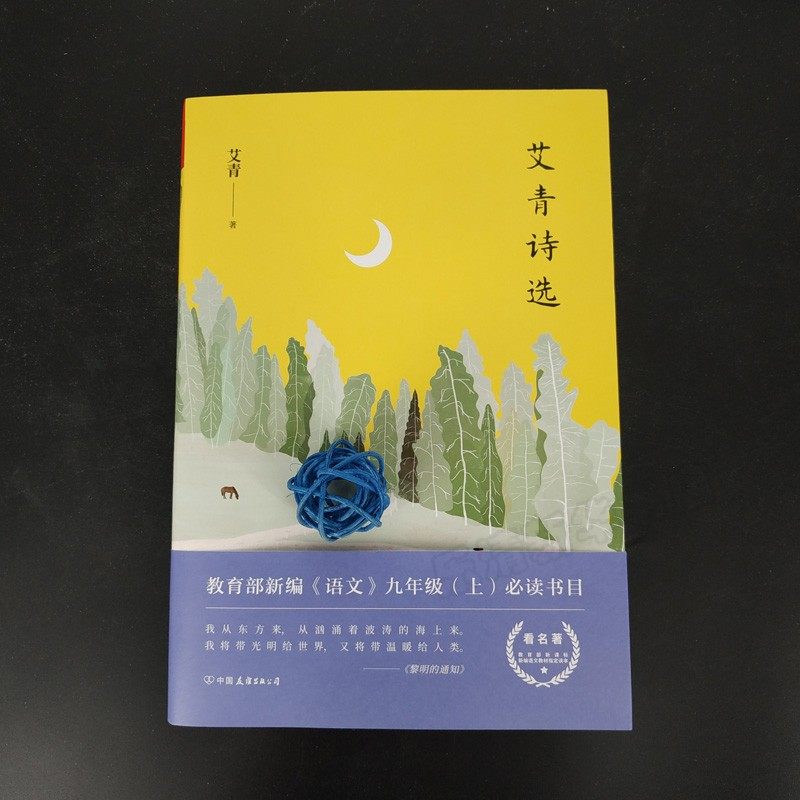 艾青诗选现代诗歌诗集精选典书散文诗书籍中国友谊中国现当代诗歌