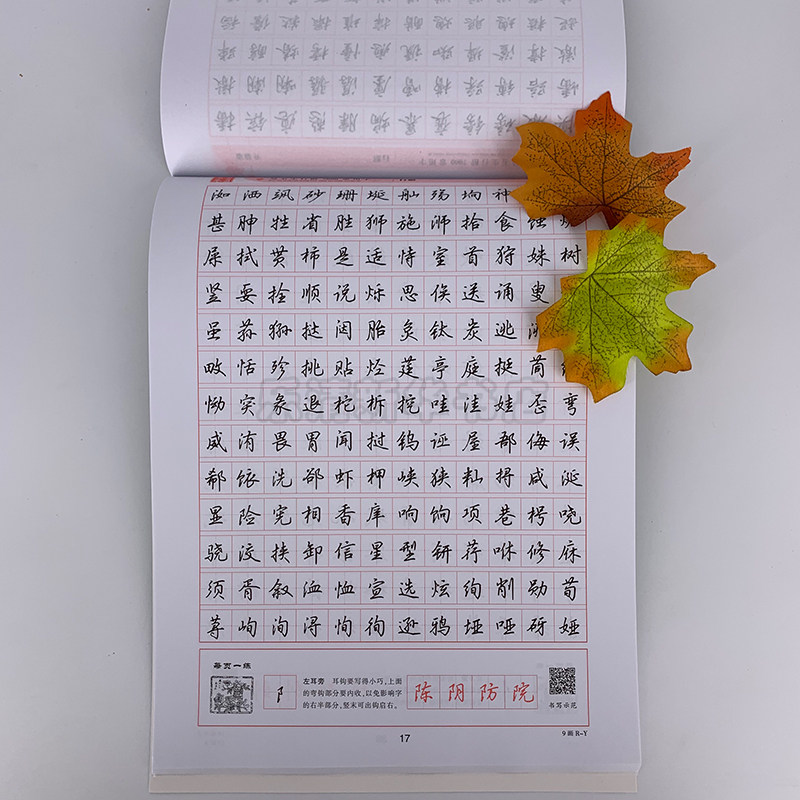 字帖行楷速成练字华夏公务员入门行书本行硬笔书法书法