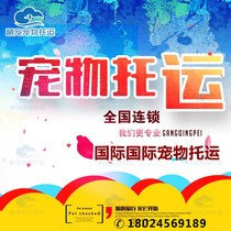 National Pet Consignment Hainan Haikou Sanya Pets Airlift Randomized Pet Air Charge D Affaires Random Formalities