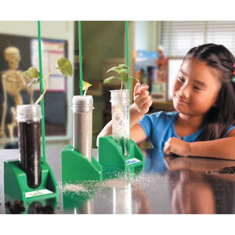 观察植物水耕培养试管幼教儿童科学实验探索生长科学实验