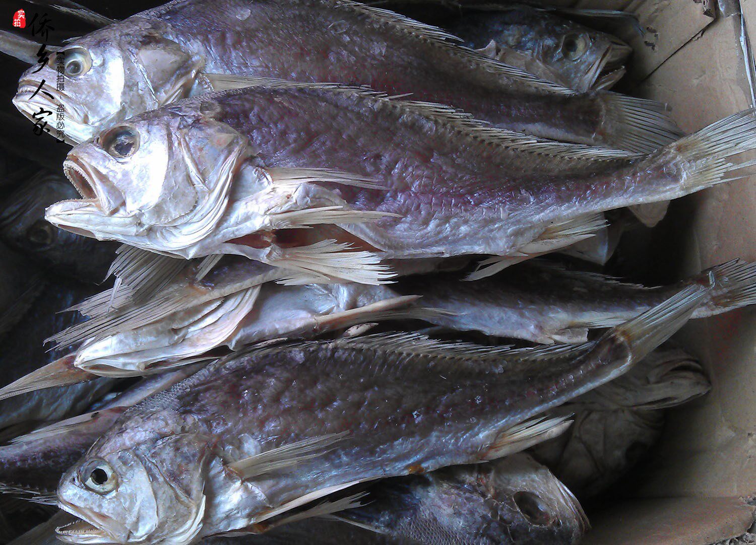 咸鱼台山广海特产白花干淡口渔民自晒下饭佳品鱼干