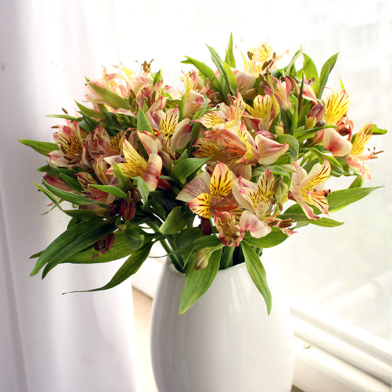 水仙百合六出鲜花办公室配花上海杭州顺丰水养插花鲜切花女神节礼